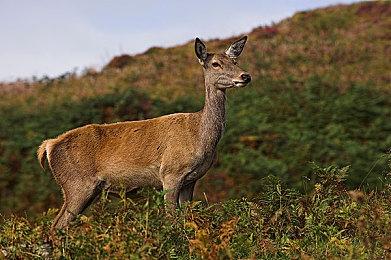推箱子《海天岛传说》发售日预告 5月22日发售